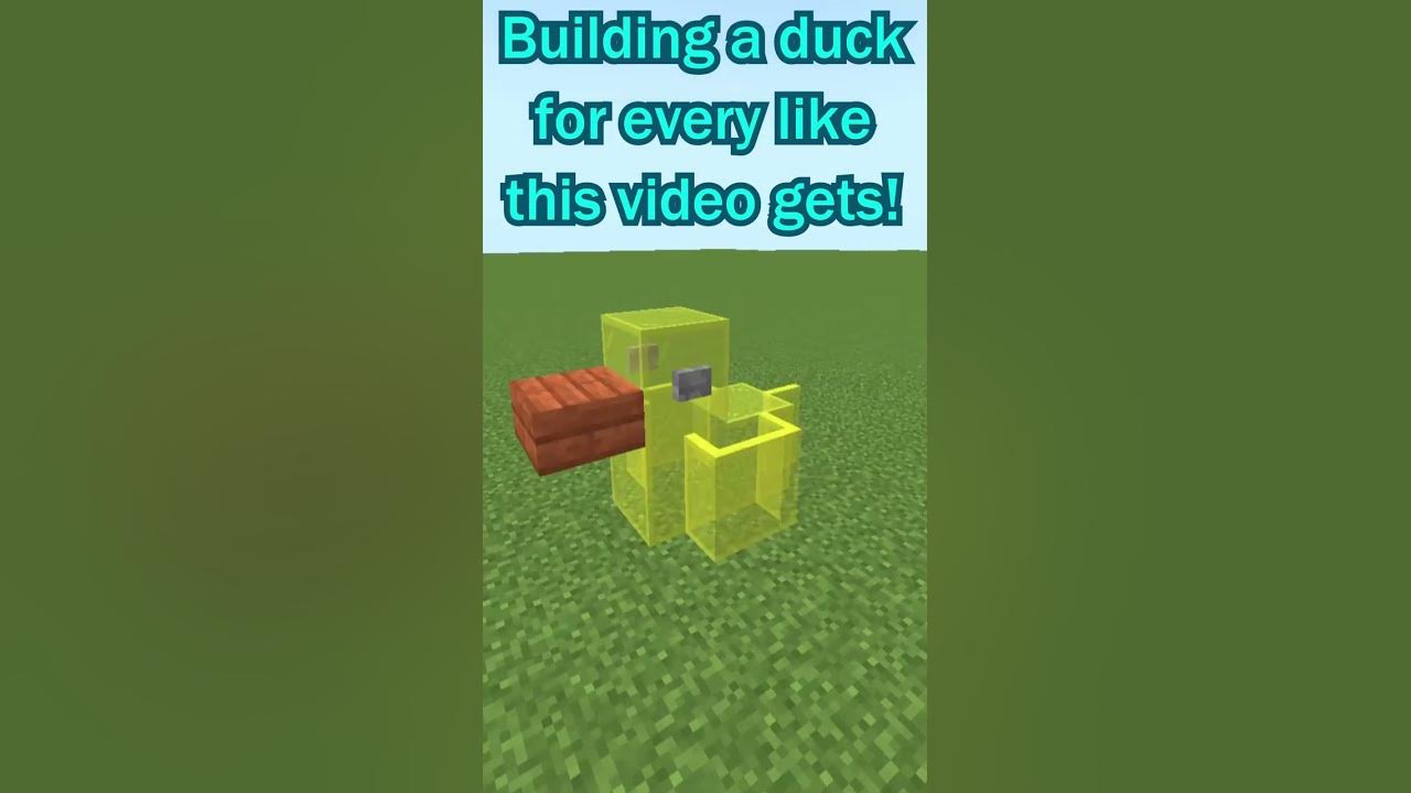 minecraft-but-i-build-a-duck-for-every-like-youtube