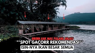 GACORR SPOT, HUGE FISH | MAKES YOU NEVER WANT TO GO HOME - FISHING MANIA