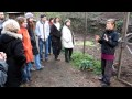 Chickens in Permaculture Chickens in Permaculture