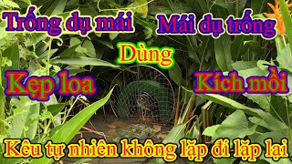 Tiếng Quốc mồi thực để kẹp loa hoặc kích chim mồi ở nhà.