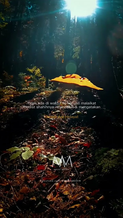 Ampunan Allah | Ust Adi Hidayat | #shorts #dakwah #storywa #ustadzadihidayat