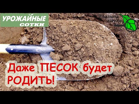 Видео: Почему в пустынях бедная почва?