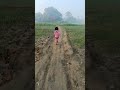 gaon ke kuchh purane yaden #gaon #Instagram #viralvideo  #