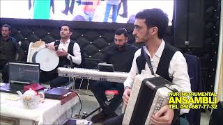 leyli can leyli super ifa qarmon Yadigar Tofiqoglu / sintez Elvin / gitara Mehmmed Agcabedili Resimi