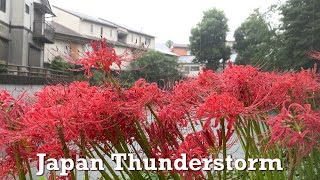 Japan Thunderstorm Rain Walk 2022.09.19 ASMR Ambience Sound Sleep Meditate Relax Tokyo Suburb