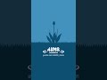 (ASMR) Bloom 01–06 Compilation #shorts