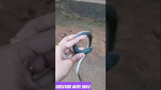 prank.ചിരിക്കാൻ വായോ.snake prank. prank2023 prank subscribe snakeprank snake like comedy