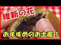 山口県 おすすめのお土産！おいしい和菓子 明治維新150年記念『維新の花』山口のういろう 季節限定の和菓子 本多屋