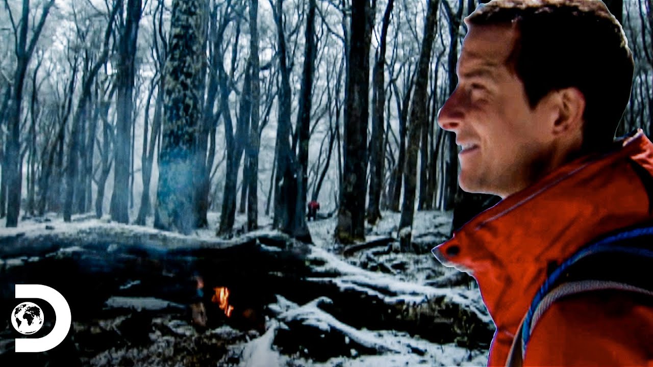 Bear Grylls enfrenta uma floresta com plantas espinhosas | À Prova De Tudo | Discovery Brasil