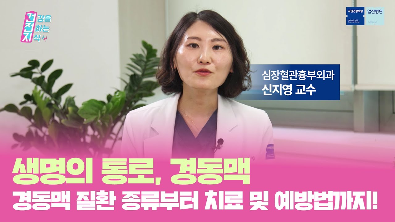 생명의 통로, 경동맥! 경동맥 질환 종류부터 치료 및 예방법까지!