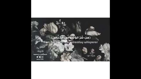 تلاوة بصوت :عبدالعزيز بن سعيد 🌟😍