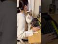 Cat trying hard to help human on some Excel sheet🥹#cat #cute #workfromhome