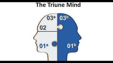 Unlocking the Mind - The Triune Brain Theory Explained (4 Minutes)