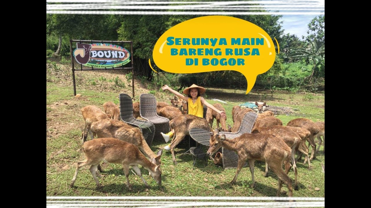 Bogor Funday Destinasi Wisata Alam Murah Di Bogor Jbound Animal Feeding Bogor Funday Destinasi Wisata Alam Murah Di Bogor Jbound Animal Feeding