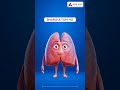 World Health Day - Lungs