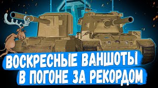 ВОСКРЕСНЫЕ МЕГА-БРЁВНА 😏 В ПОГОНЕ ЗА РЕКОРДОМ НА FV4005 | FV215b (183)