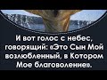 Сей есть Сын Мой возлюбленный в Котором Мое благоволение 2021.01.20 вечер #АрхиепископСергейЖуравлев