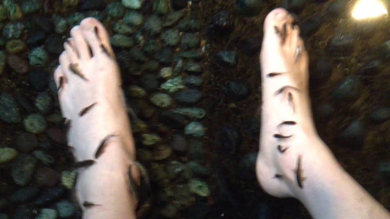 Fish Foot Bath at Ooedo Onsen Monogatari YouTube