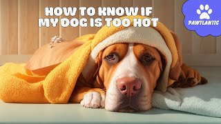 How to KNOW If My DOG is TOO HOT | Dog Tips by Vibeza - Paw 16 views 8 months ago 3 minutes, 24 seconds