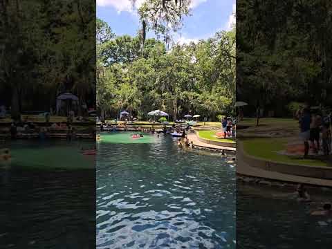 Как флоридцы проводят выходные 🌴☀️💦 #флорида #июнь2025 #жизньвамерике #junipersprings #florida