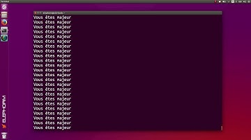 04 La boucle while du langage de programmation Python