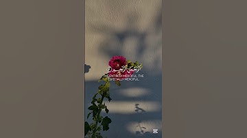 الحمد لله رب العالمين | عادل الحداد سورة الفاتحة#قران#القران#لايك#اكسبلور#quran#راحة_نفسية#تلاوه