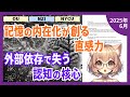 記憶の内在化が創造性を生む!脳科学が解明した学習の新常識(2025-06)【論文解説シリーズ】