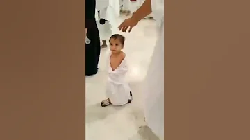يارب المصطفى 