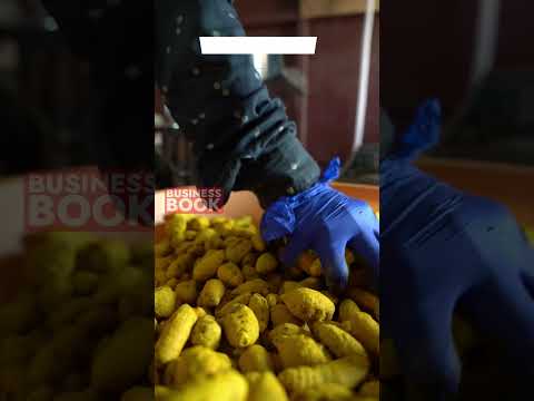 Chilli Powder Making Unit #shorts