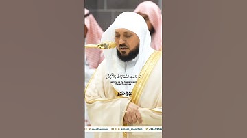 يوم يأت لا تكلم نفس إلا بإذنه_تلاوة مرئية من صلاة العشاء 13 ربيع الآخر 1446هـ_الشيخ ماهر المعيقلي