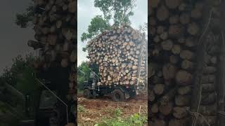 Superb Logging Truck  #Truck #Trucking  #Truckfail #Heavyequipment #トラック #トラック運転手 #Lastkraftwagen