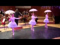 J. & J. Strauss - Pizzicato-Polka, Dariusz Mikulski, Belvedere Orchestra & Ballett