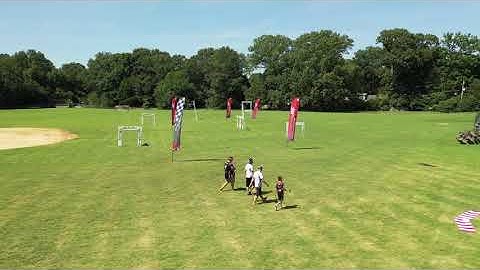 2020 MultiGP Series Global Qualifier: 901FPV