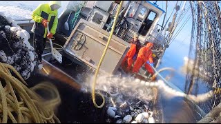 POV: Wild Alaska Purse Seining  30,000 LB Set