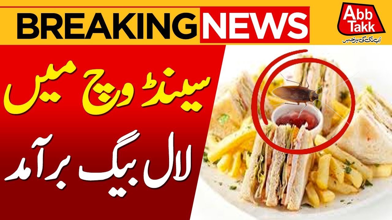 Cockroach Appear in Parliament House Cafeteria | Breaking News ...