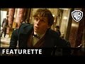 Fantastic Beasts and Where to Find Them - A New Hero Featurette