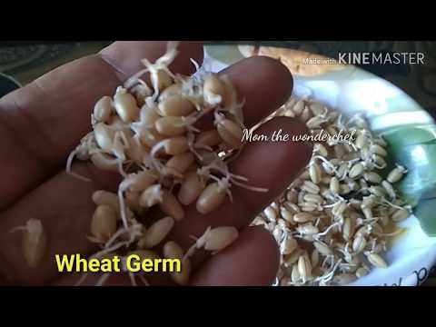 Video: How To Make Wheat Germ