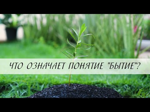 Видео: Что означает Дионисий?