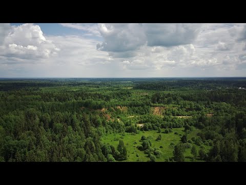 Video: Christianas Siriano Ir Plius Dydžio Modeliai