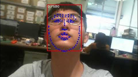 RetinaFace-98 Landmarks with WFLW dataset