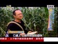 【台灣1001個故事】花蓮燒番麥大王 生烤不水煮 留住鮮甜味 1020505