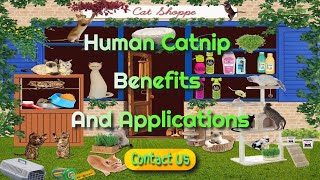 benefits of catnip for humans