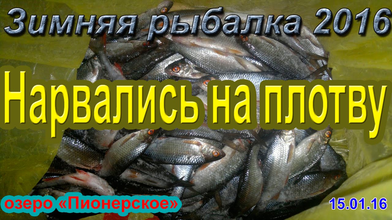 Баклажаны на зиму как грибы рецепты с фото