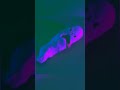 Banish - Vector Access (part5) #bassmusic #ambient #minimal  #idm #techno #dancehall #dubstep