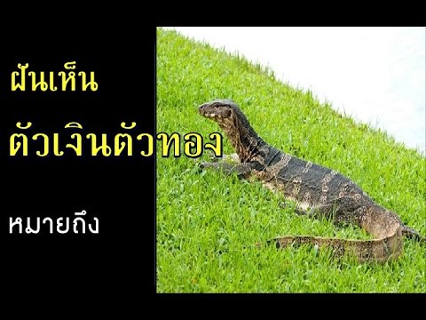 ทำนายฝัน - ฝันเห็นตัวเงินตัวทอง [พร้อมเลขเด็ด]