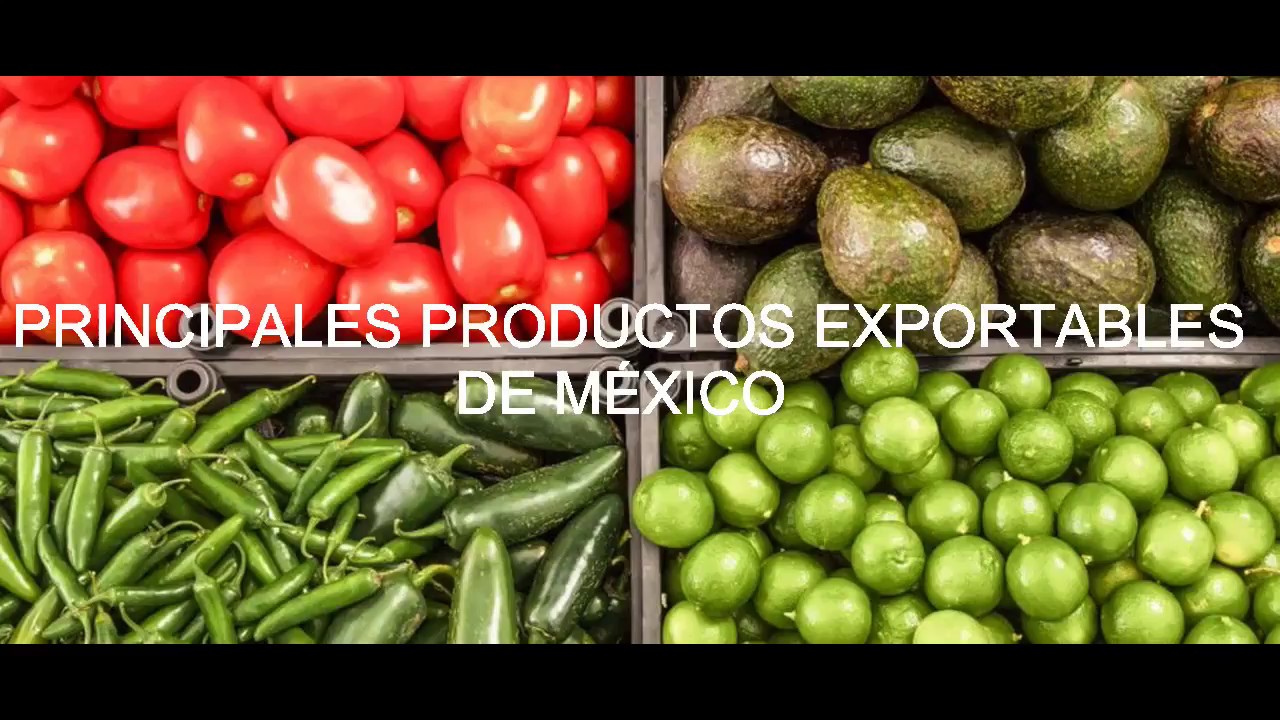 PRINCIPALES PRODUCTOS EXPORTABLES DE MÉXICO YouTube PRINCIPALES PRODUCTOS EXPORTABLES DE MÉXICO YouTube
