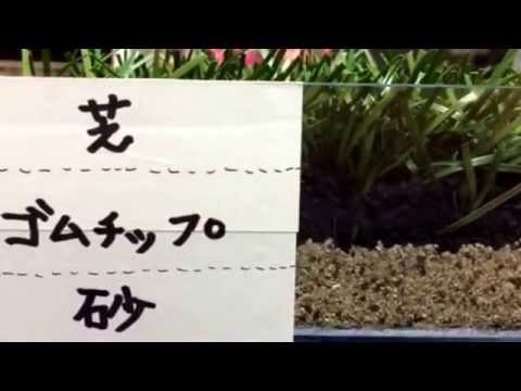ロングパイル人工芝 サッカー 愛知県瀬戸市