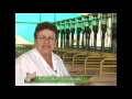 Cómo realizar porcicultura tecnificada - TvAgro por Juan Gonzalo Angel