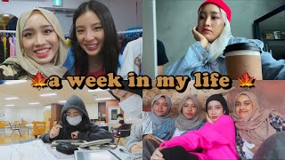 a week in my life - juggling college and content creation