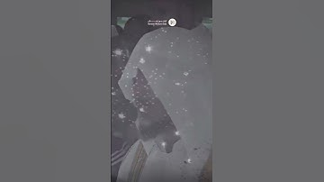 تلاوة مميزة للقارئ هيثم الدخين | وَعَنَتِ الْوُجُوهُ لِلْحَيِّ الْقَيُّومِ